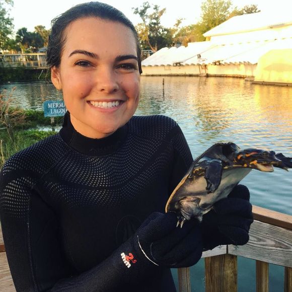 Meet your Posher, Melissa - Picture 1 of 1